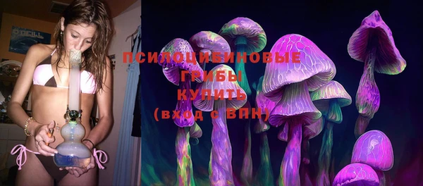 прущий лед Каменка