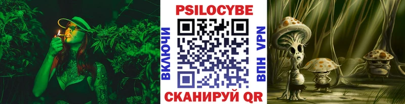 Купить  Ясный  Псилоцибиновые грибы Psilocybine cubensis 